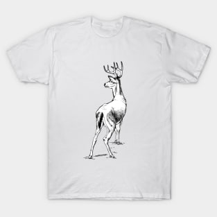 Curious Deer (black) T-Shirt